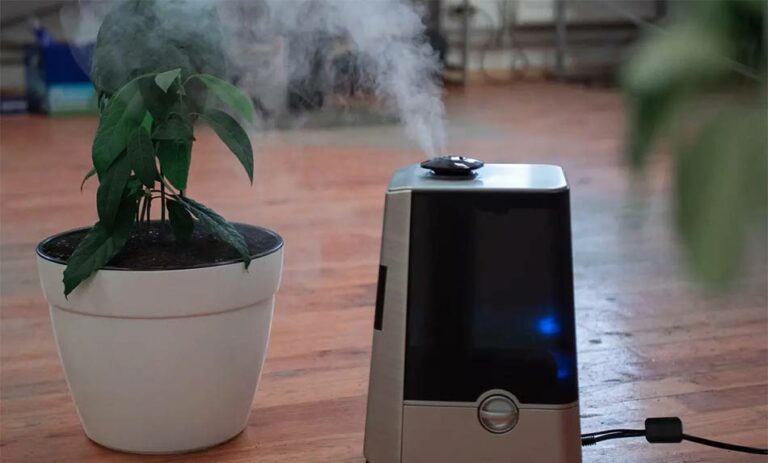 5 Perbedaan Humidifier dan Air Purifier