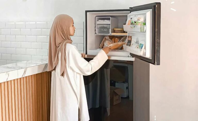 Kelebihan dan kelemahan kulkas Panasonic 2 pintu